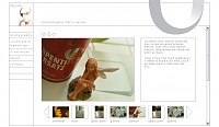 neowe - corporate, webdesign & photography
